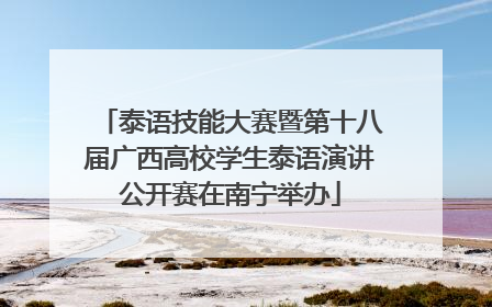 泰语技能大赛暨第十八届广西高校学生泰语演讲公开赛在南宁举办
