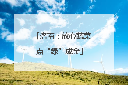 洛南：放心蔬菜点“绿”成金