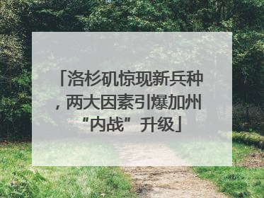洛杉矶惊现新兵种，两大因素引爆加州“内战”升级