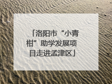 洛阳市“小青柑”助学发展项目走进孟津区