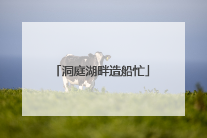 洞庭湖畔造船忙