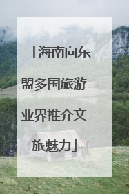海南向东盟多国旅游业界推介文旅魅力
