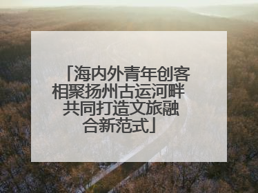 海内外青年创客相聚扬州古运河畔 共同打造文旅融合新范式