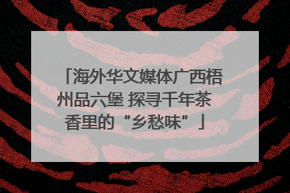 海外华文媒体广西梧州品六堡 探寻千年茶香里的“乡愁味”