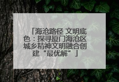 海沧路径 文明底色：探寻厦门海沧区城乡精神文明融合创建“最优解”