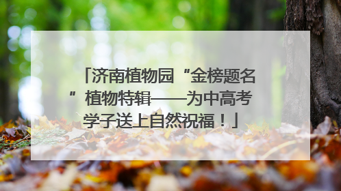 济南植物园“金榜题名”植物特辑——为中高考学子送上自然祝福！