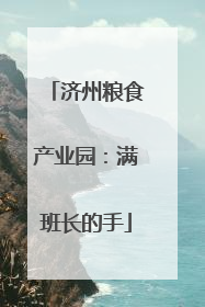 济州粮食产业园：满班长的手