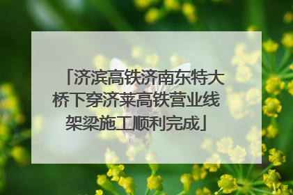 济滨高铁济南东特大桥下穿济莱高铁营业线架梁施工顺利完成