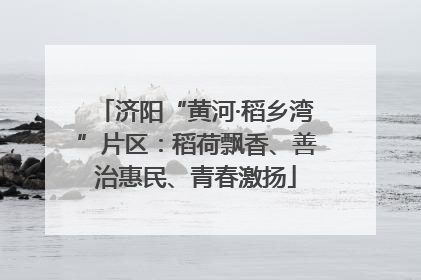 济阳“黄河·稻乡湾”片区：稻荷飘香、善治惠民、青春激扬