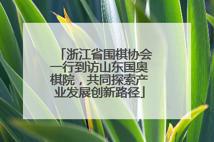 浙江省围棋协会一行到访山东国奥棋院，共同探索产业发展创新路径
