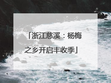 浙江慈溪：杨梅之乡开启丰收季