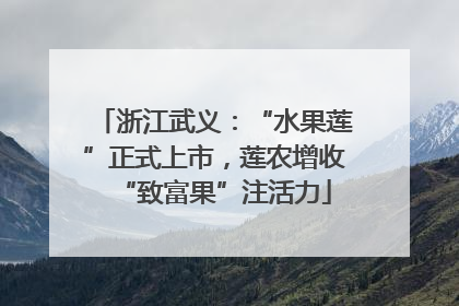 浙江武义：“水果莲”正式上市，莲农增收“致富果”注活力