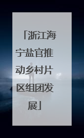 浙江海宁盐官推动乡村片区组团发展