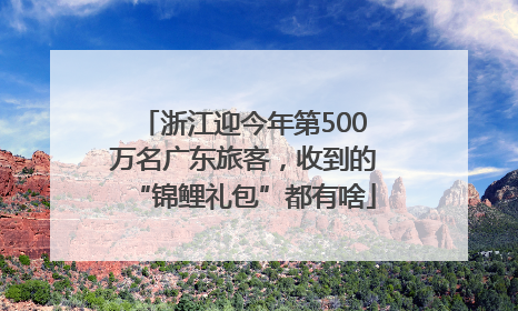浙江迎今年第500万名广东旅客，收到的“锦鲤礼包”都有啥