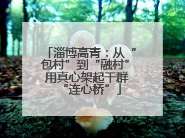 淄博高青：从“包村”到“融村” 用真心架起干群“连心桥”