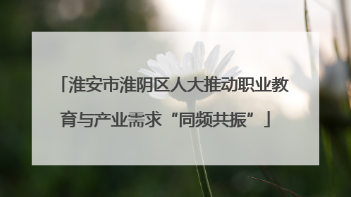 淮安市淮阴区人大推动职业教育与产业需求“同频共振”