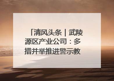 清风头条｜武陵源区产业公司：多措并举推进警示教育走深走实