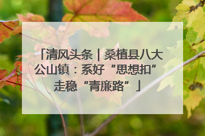 清风头条｜桑植县八大公山镇：系好“思想扣” 走稳“青廉路”