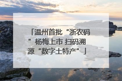 温州首批“浙农码”杨梅上市 扫码溯源“数字土特产”