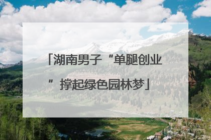 湖南男子“单腿创业”撑起绿色园林梦