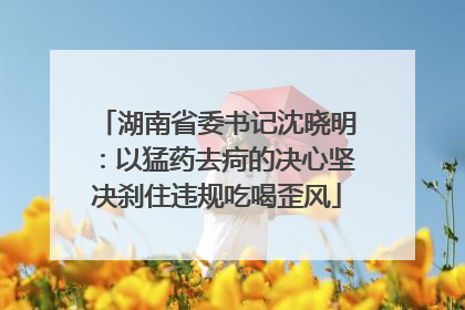 湖南省委书记沈晓明：以猛药去疴的决心坚决刹住违规吃喝歪风