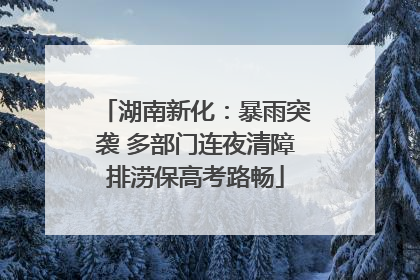 湖南新化：暴雨突袭 多部门连夜清障排涝保高考路畅