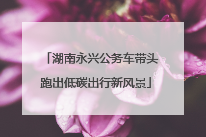 湖南永兴公务车带头跑出低碳出行新风景