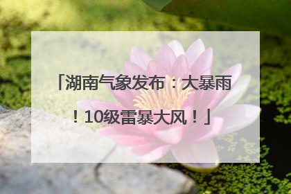 湖南气象发布：大暴雨！10级雷暴大风！