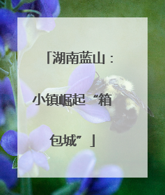 湖南蓝山：小镇崛起“箱包城”