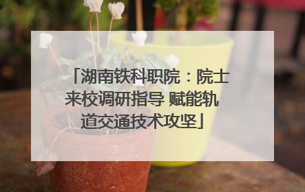 湖南铁科职院：院士来校调研指导 赋能轨道交通技术攻坚