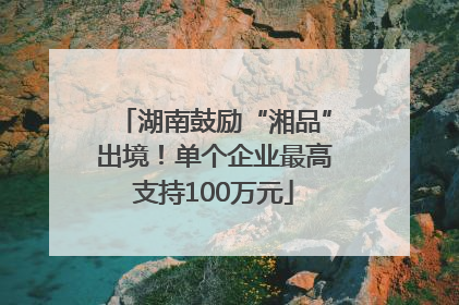 湖南鼓励“湘品”出境！单个企业最高支持100万元