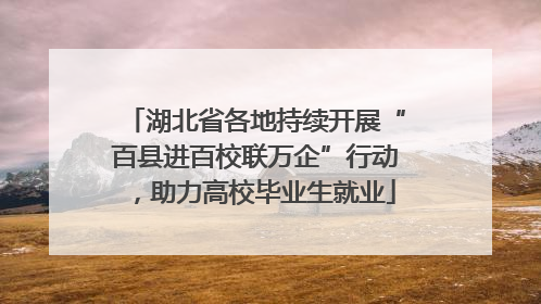 湖北省各地持续开展“百县进百校联万企”行动，助力高校毕业生就业