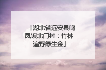 湖北省远安县鸣凤镇北门村：竹林遍野绿生金