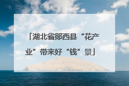 湖北省郧西县“花产业”带来好“钱”景