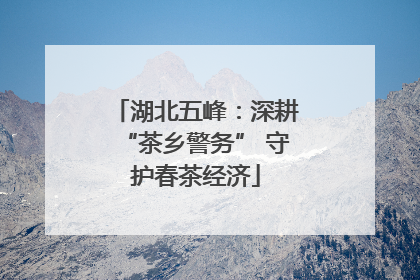 湖北五峰：深耕“茶乡警务” 守护春茶经济