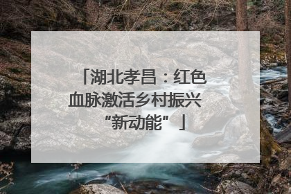 湖北孝昌：红色血脉激活乡村振兴“新动能”