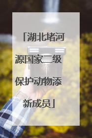 湖北堵河源国家二级保护动物添新成员