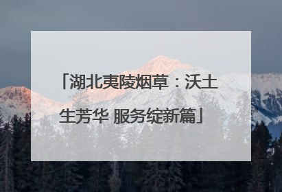 湖北夷陵烟草：沃土生芳华 服务绽新篇