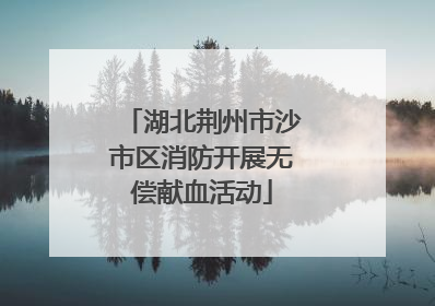 湖北荆州市沙市区消防开展无偿献血活动