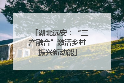 湖北远安：“三产融合”激活乡村振兴新动能