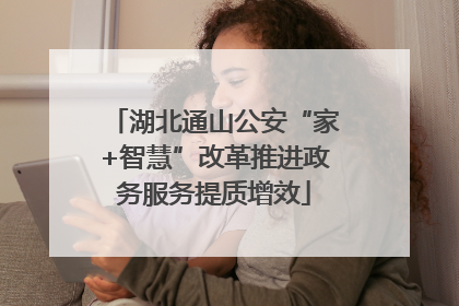 湖北通山公安“家+智慧”改革推进政务服务提质增效
