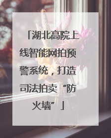 湖北高院上线智能网拍预警系统，打造司法拍卖“防火墙”