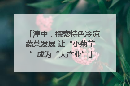 湟中：探索特色冷凉蔬菜发展 让“小菊芋”成为“大产业”