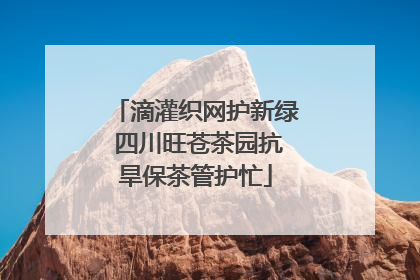 滴灌织网护新绿 四川旺苍茶园抗旱保茶管护忙
