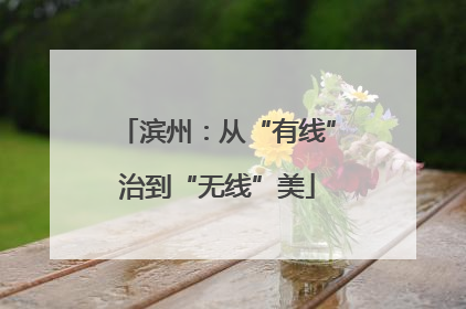 滨州：从“有线”治到“无线”美