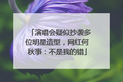 演唱会疑似抄袭多位明星造型，网红何秋亊：不是我的错