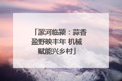 漯河临颍：蒜香盈野映丰年 机械赋能兴乡村