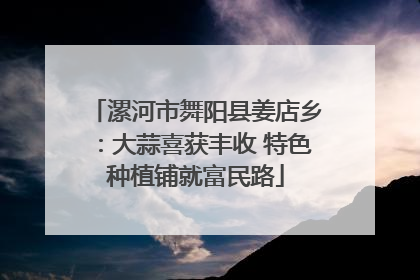 漯河市舞阳县姜店乡：大蒜喜获丰收 特色种植铺就富民路