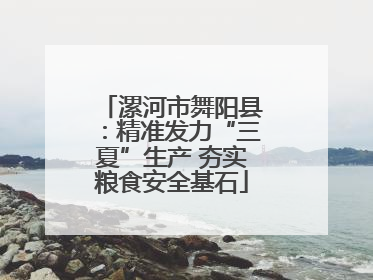 漯河市舞阳县：精准发力“三夏”生产 夯实粮食安全基石