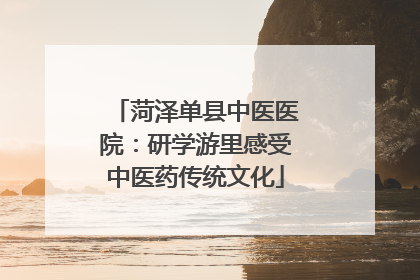 菏泽单县中医医院：研学游里感受中医药传统文化